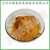 月見草提取物 待霄草萃取 月見草粉
