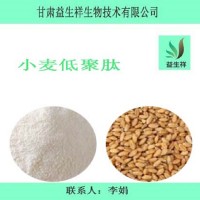 小麥低聚肽 小麥肽 1公斤起訂