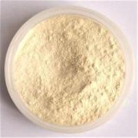 西柚粉 99% 西柚速溶粉 噴霧干燥      量大從優(yōu)