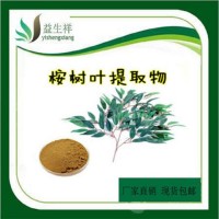 桉樹(shù)葉提取物 10:1 桉樹(shù)葉提取物  廠家現(xiàn)貨直銷(xiāo)