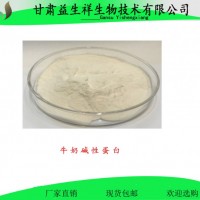 牛奶堿性蛋白    食品級 化妝品級