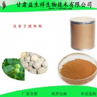 沒食子提取物 沒食子原料萃取 沒食子粉
