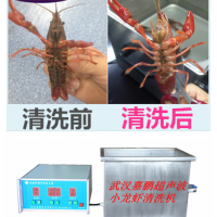 武漢嘉鵬生產供應超聲波清洗小龍蝦清洗機