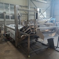 蠶豆預煮漂燙機生產廠家