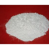 重質碳酸鈣 重質碳酸鈣價格 食用重鈣廠家