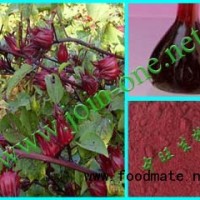 玫瑰茄紅色素，斑瑰茄、玫瑰茄色素