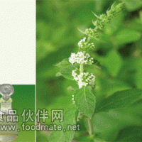 供應天然薄荷油