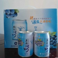 藍艦視力藍莓飲料值得飲料代理商關注的飲料