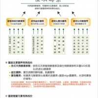 酵素有效吃法 盛世佳聯臺灣藍帽牛樟芝子實體貼牌OEM