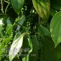 胡椒堿CAS：94-62-2
