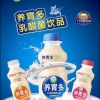 養胃多乳酸菌招商
