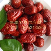 全國招商和田大棗批發商