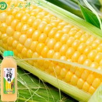 冬日健康因 ，一榨鮮玉米汁招商代理