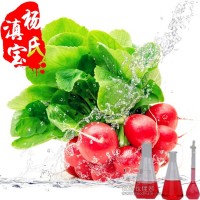 蘿卜紅 天然食用色素 廠家價格批發直銷