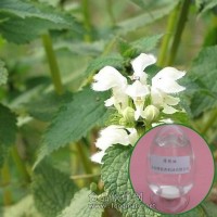 廠家供應食品級水溶薄荷油 水溶薄荷油價格