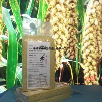 甘肅張掖特產糯性小米、青稞加工品全國招商