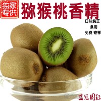 獼猴桃香精 食品級 廠家直銷