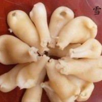 雪蛤肚 肚 蛙肚 荷包肚批發零售