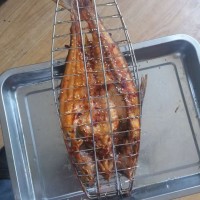 綏化 炭火烤魚(yú)加盟
