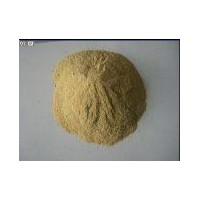 酵母粉、酵母粉價格、酵母粉生產廠家