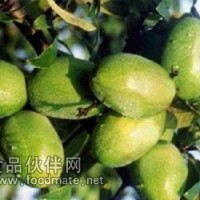 食品級高活性木瓜蛋白酶