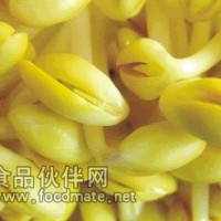 新農村綠色蔬菜—小金黃豆芽河南地區誠招代理商