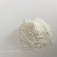植物乳桿菌