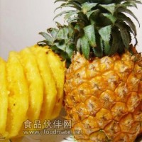 菠蘿蛋白酶專業生產廠家