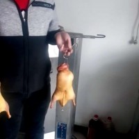 加盟果木烤鴨店VV果木烤鴨加盟總部VV老北京果木烤鴨加盟