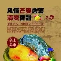 陜西榆林泉城烤薯加盟條件，地瓜坊加盟電話，烤地瓜烤薯加盟網址