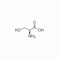 L-絲氨酸Serine