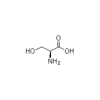 L-絲氨酸 L-2-氨基-3-羥基丙酸