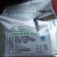 廠家批發TG酶，TG酶的價格 谷氨酰胺轉氨酶102型