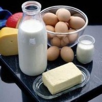 乳糖酶 食品級乳糖酶 乳糖酶廠家 乳糖酶價格