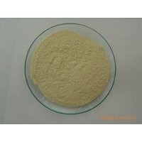 黃原膠生產(chǎn)廠家