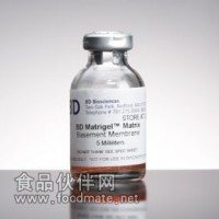 BD Matrigel基底膜基質，GFR，無酚紅，356231現貨