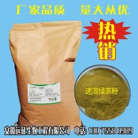 食品級 速溶綠茶粉 廠家