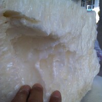 川蠟 蟲白蠟 天然川蠟 天然蟲白蠟 東盛