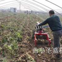 新型土豆挖掘機生產廠家  家用紅薯收獲機整機質保