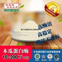 龐博酶 木瓜蛋白酶 10萬 低活力嫩肉軟化植物蛋白酶