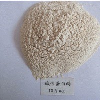 供應(yīng)堿性蛋白酶、皮革軟化酶