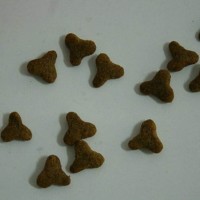 供應不同產量 型號 貓糧、狗糧 機器設備生產一條線