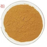 食品級(jí)茶多酚供應(yīng)