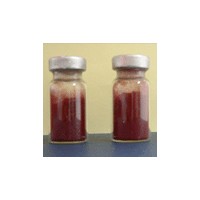 維生素B12價(jià)格，維生素B12生產(chǎn)廠家