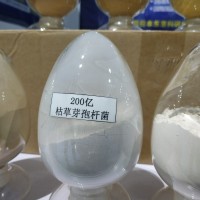 200億枯草芽孢桿菌