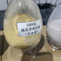 養(yǎng)殖用地衣芽孢桿菌廠家供應(yīng)