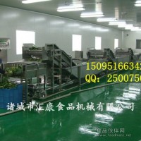 翻浪清洗機  臭氧消毒清洗機 果蔬清洗機