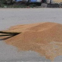 玉米車載吸糧機 環保糧食輸送機 大豆裝車輸送設備