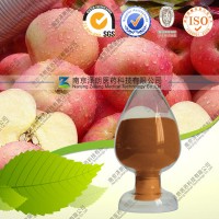 銷售代加工根皮素