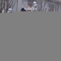 網帶式油炸機 網帶式油炸流水線